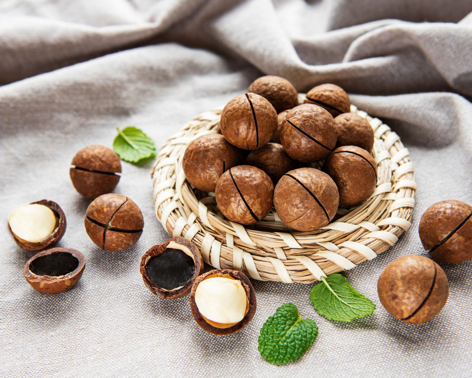 Macadamia Nuts